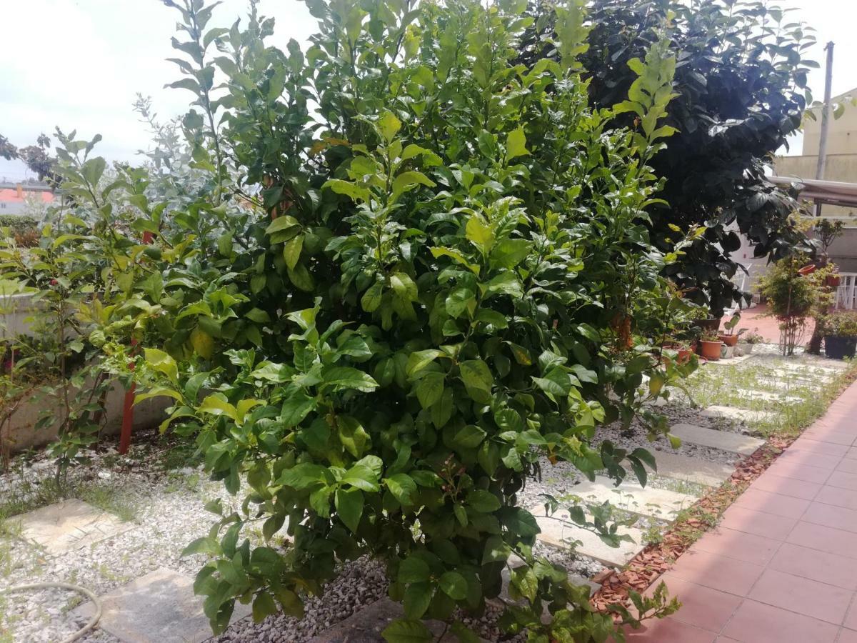 Casa Lagoa Verde 에스모리츠 외부 사진